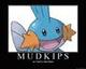 SUI Mudkips logo
