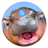 HIPPO