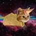 Icecreamtacocatsui logo