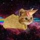 Icecreamtacocatsui logo