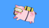 Sui Oink logo