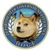 DepartmentOfGovernmentEfficiency logo