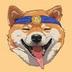 BitDoge logo