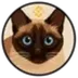 BNB'S CAT logo