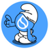 THE SUIRFS logo