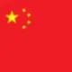 Chinese AI logo