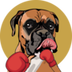 SuiBoxer Coin logo