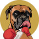 SuiBoxer Coin logo