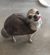 Turtle Dog logo