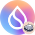 sVSUI logo
