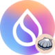sVSUI logo