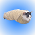 Towel cat logo