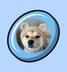 Suzu logo