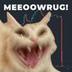 Meow Rug logo