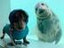 dogwifseal logo