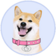 DogeGF logo