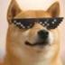 ODINDOGE•ID•WQNH•ODIN logo