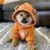 DOG•GO•TO•TNE•MOOH logo