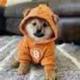 DOG•GO•TO•TNE•MOOH logo