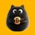 BITCAT•ID•XXXX•ODIN logo