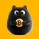 BITCAT•ID•XXXX•ODIN logo