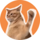 Catslap logo