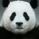 FU BAO logo