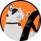 CatDrivingBitcoin logo