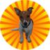 TANGO logo