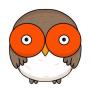HOOT