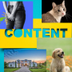 ContentHomesFartsDogsCats logo