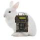 buy or this cute rabbit explodes logo