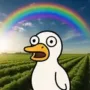 duk