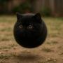 ANIBALLS