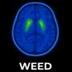 Weed Science logo