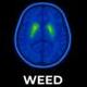 Weed Science logo