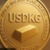 USDKG logo