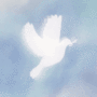 PEACEWORLD
