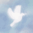 PEACEWORLD