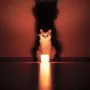 auracat