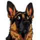 HUND logo