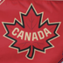 2025 4 Nations Champions logo