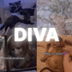 Who is this diva ?  logo