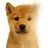 tDog