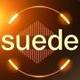 Johnny Suede logo