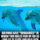 Bromances Dolphins logo