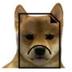 dog404notfounderror logo