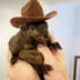 Peanut the Squirrel  logo