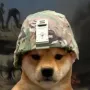 WAR