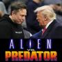 AVP